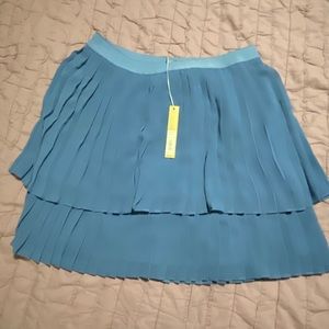 Blue skirt